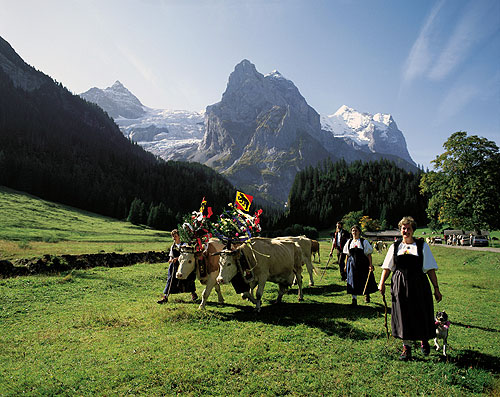 Альпы